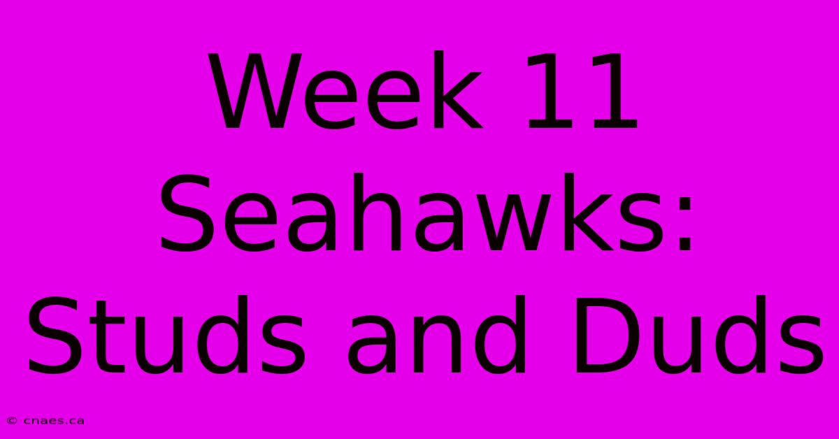 Week 11 Seahawks: Studs And Duds