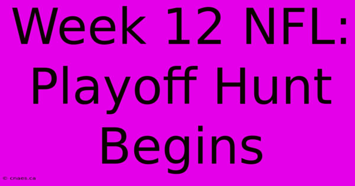 Week 12 NFL: Playoff Hunt Begins