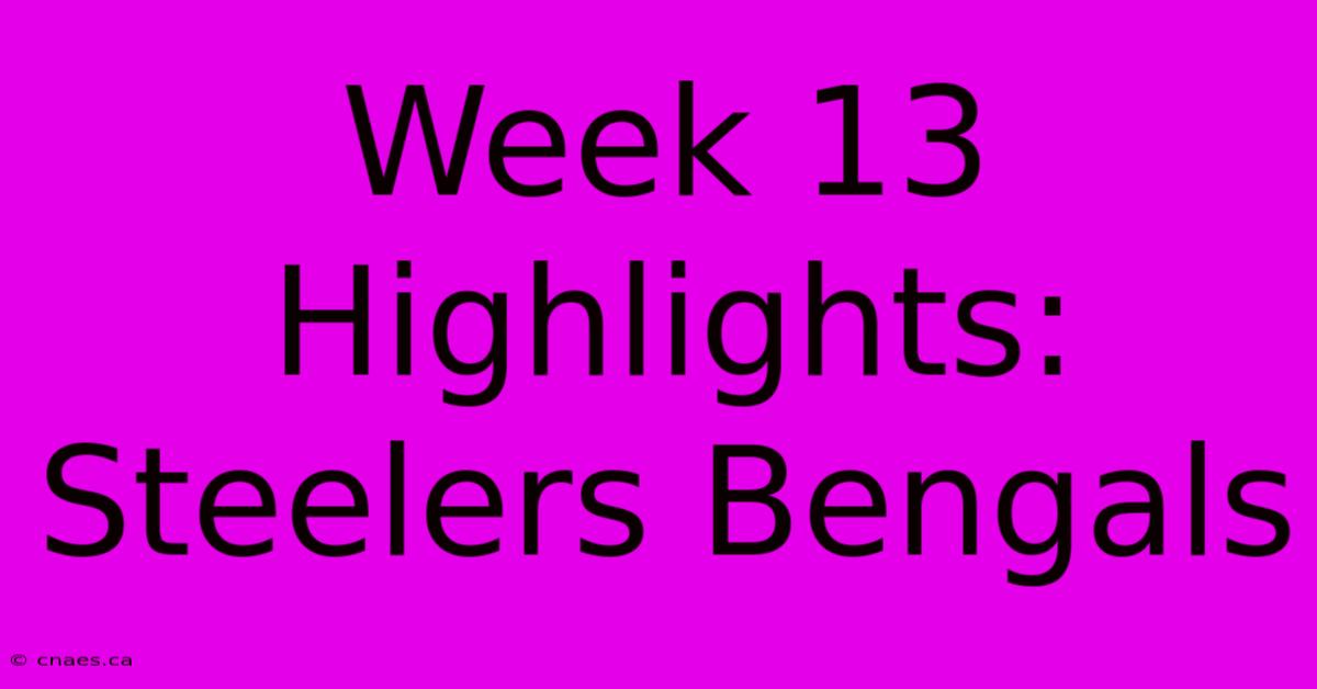 Week 13 Highlights: Steelers Bengals