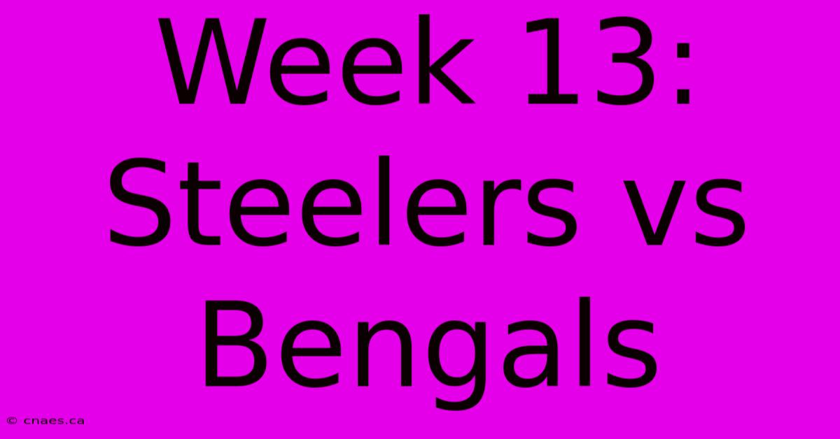 Week 13: Steelers Vs Bengals