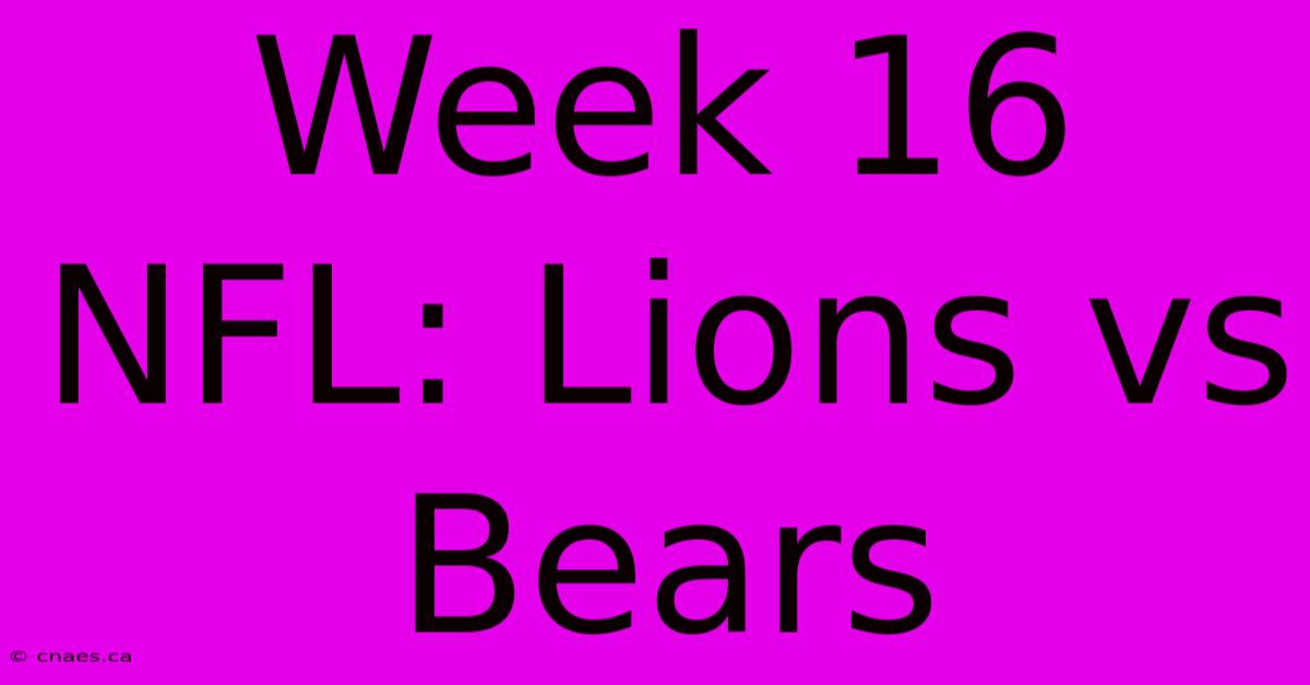 Week 16 NFL: Lions Vs Bears