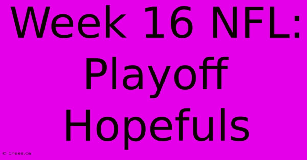 Week 16 NFL: Playoff Hopefuls