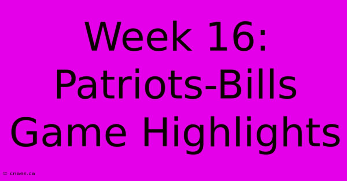 Week 16: Patriots-Bills Game Highlights