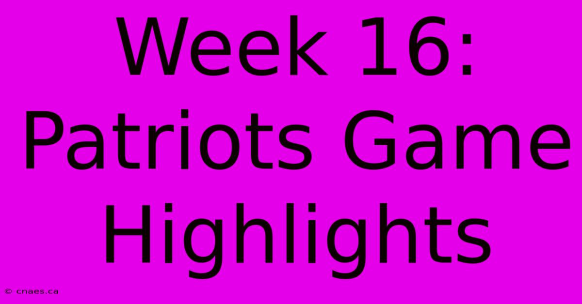 Week 16: Patriots Game Highlights