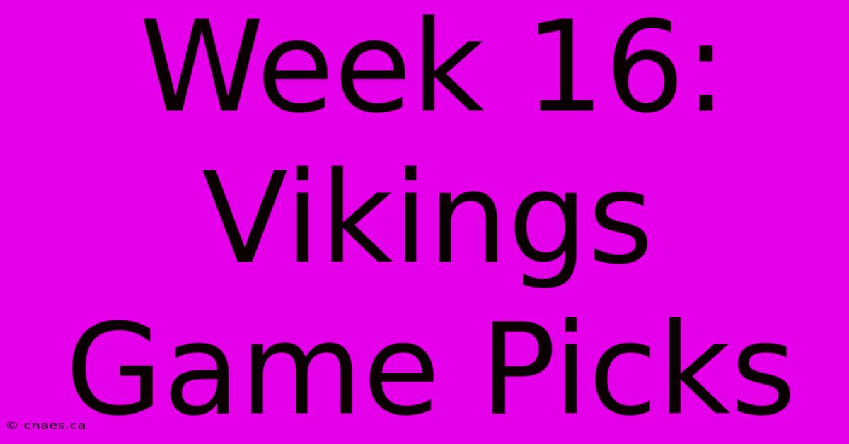 Week 16: Vikings Game Picks