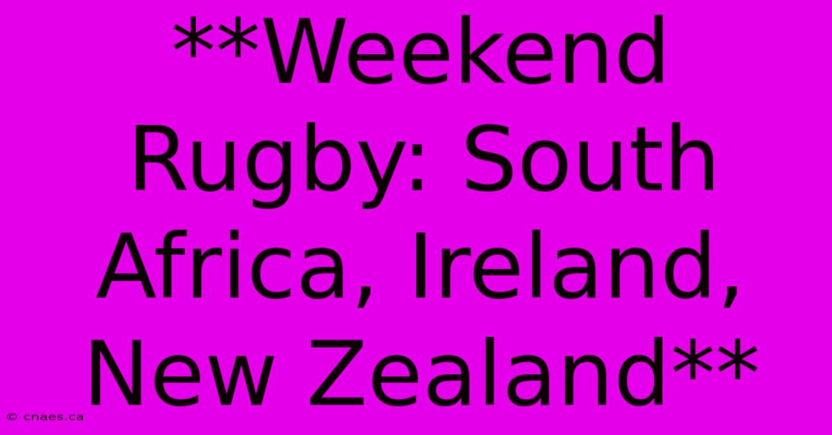 **Weekend Rugby: South Africa, Ireland, New Zealand**