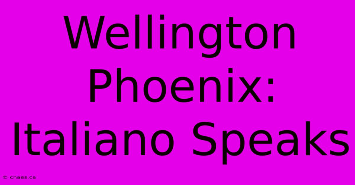 Wellington Phoenix: Italiano Speaks