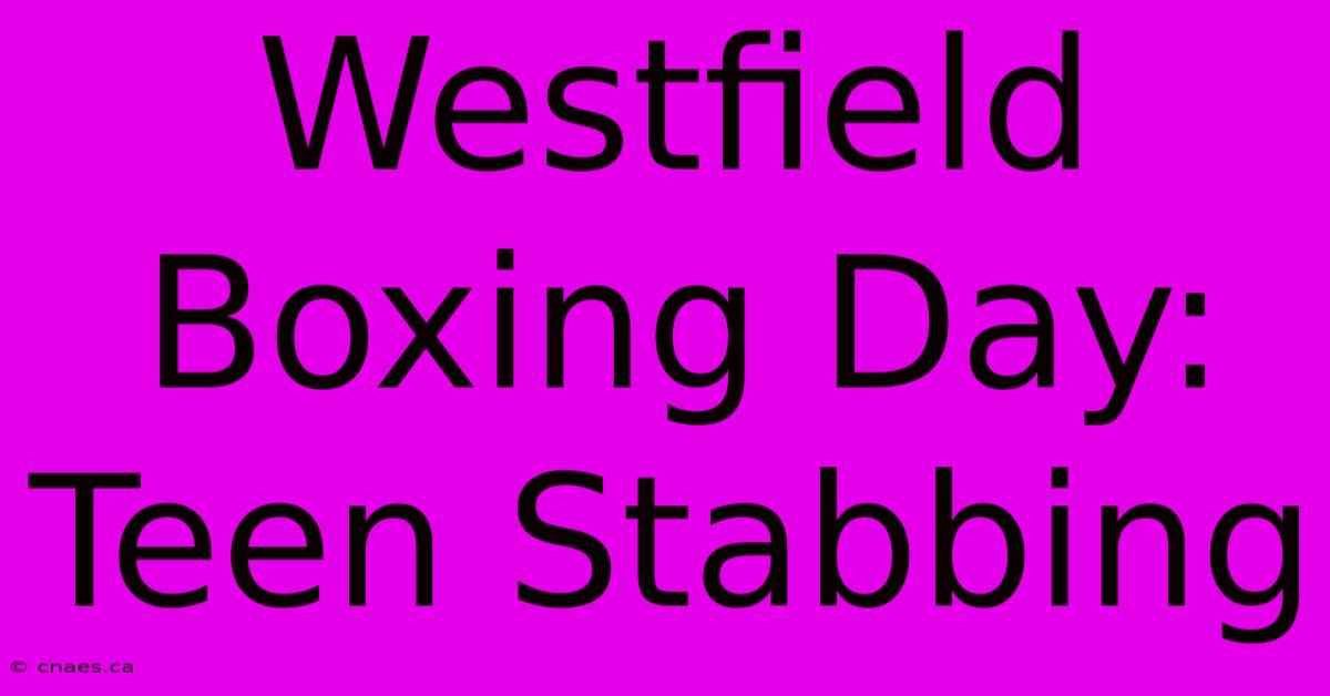 Westfield Boxing Day: Teen Stabbing