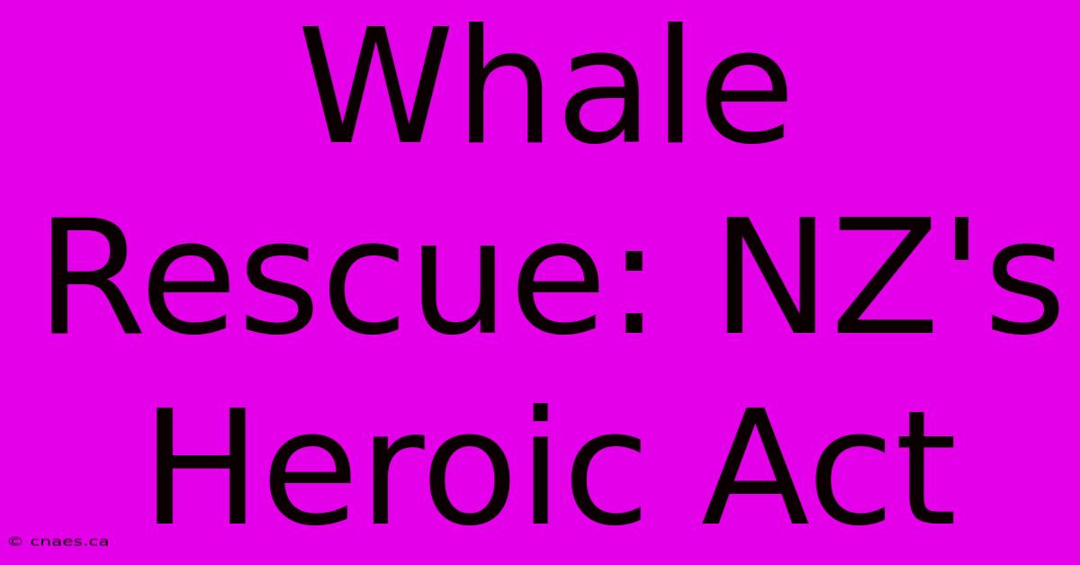 Whale Rescue: NZ's Heroic Act