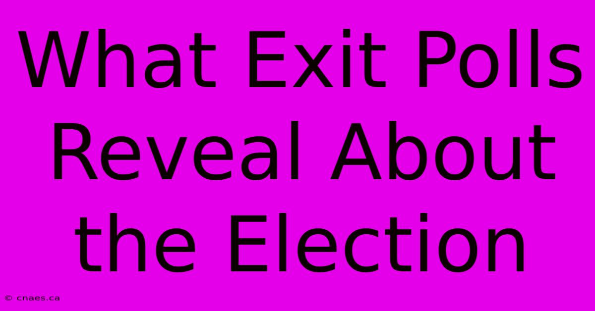 What Exit Polls Reveal About The Election 