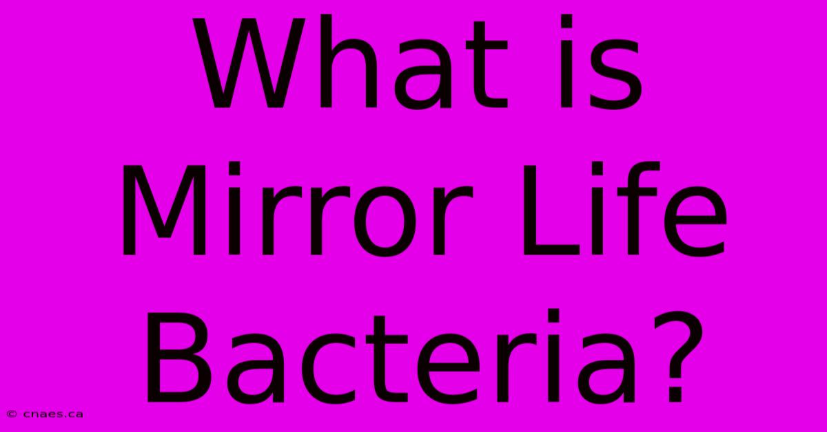 What Is Mirror Life Bacteria?