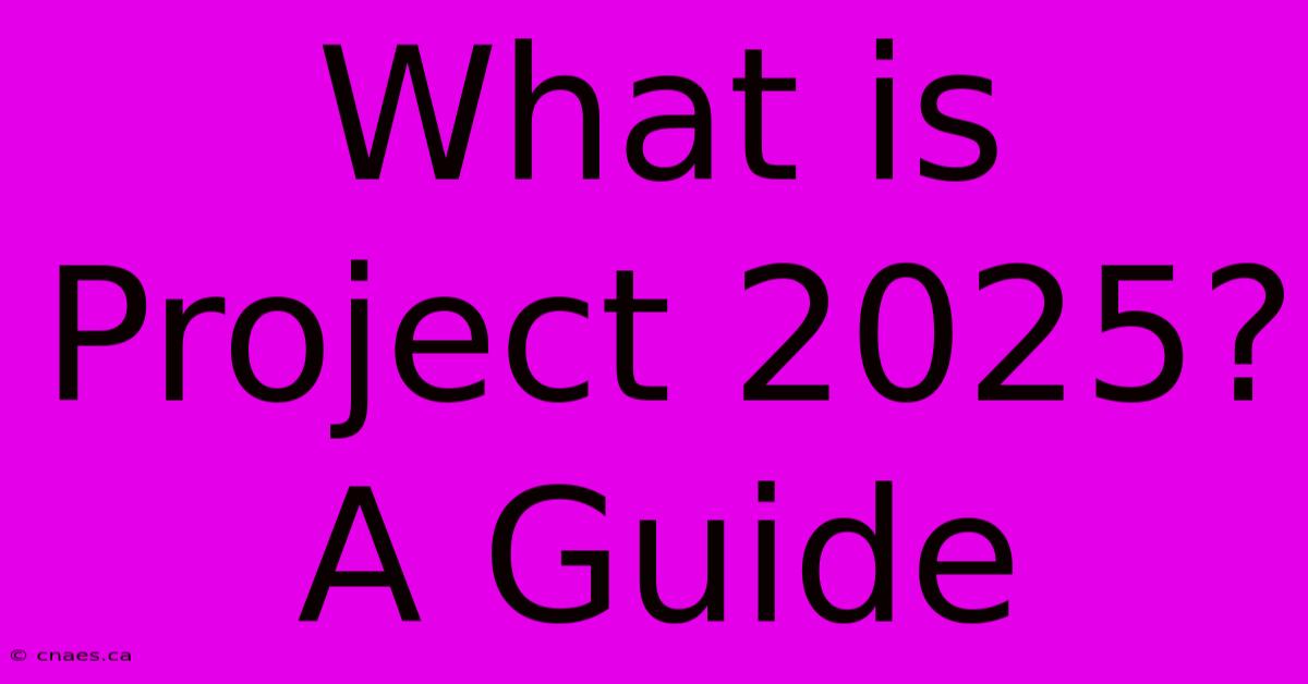 What Is Project 2025? A Guide