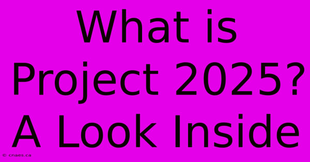 What Is Project 2025? A Look Inside