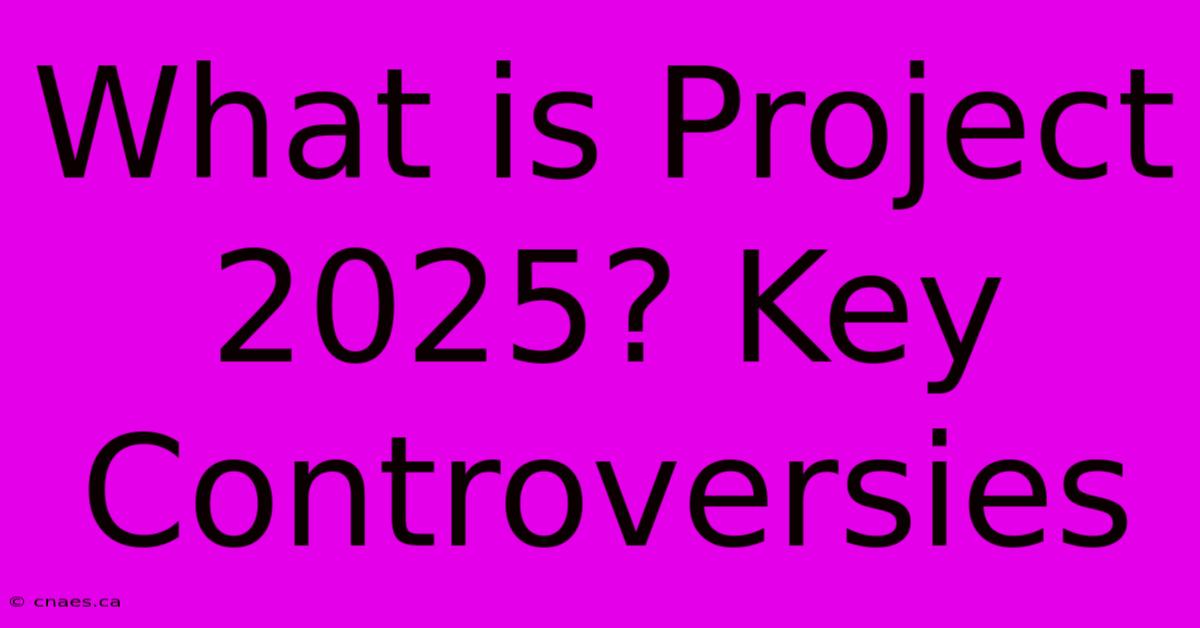 What Is Project 2025? Key Controversies