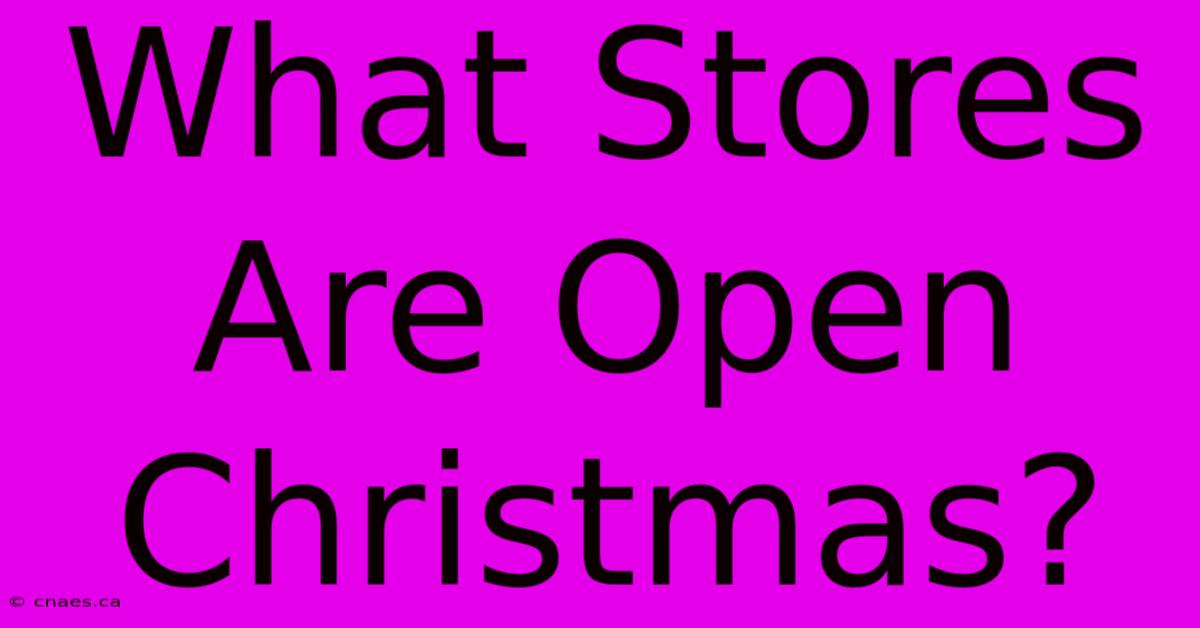 What Stores Are Open Christmas?