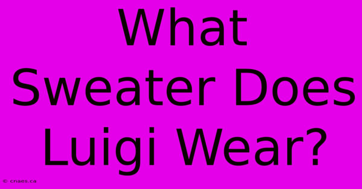 What Sweater Does Luigi Wear?