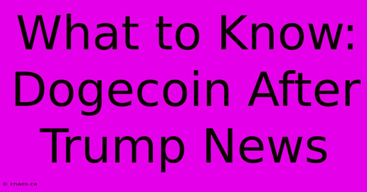 What To Know: Dogecoin After Trump News