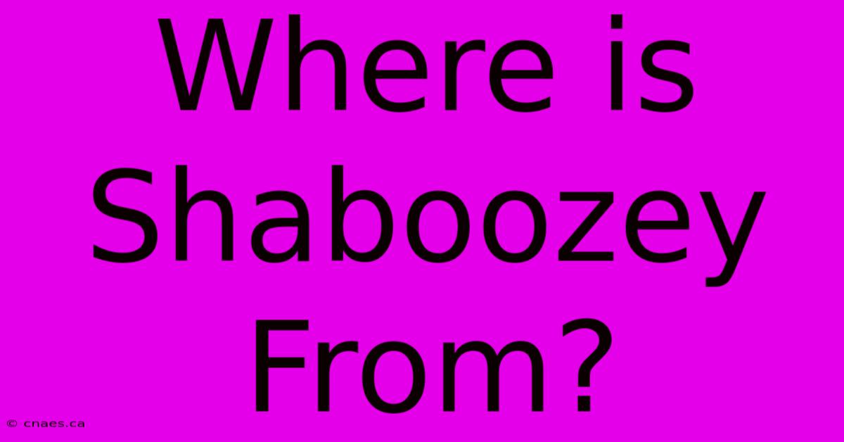 Where Is Shaboozey From?