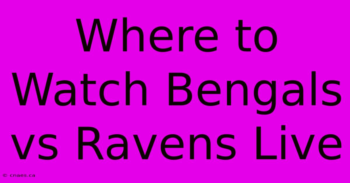 Where To Watch Bengals Vs Ravens Live