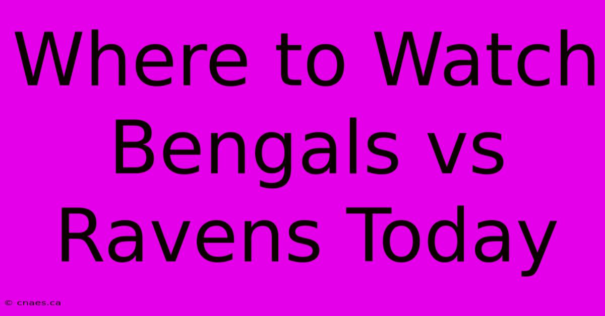 Where To Watch Bengals Vs Ravens Today