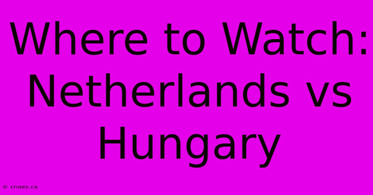 Where To Watch: Netherlands Vs Hungary