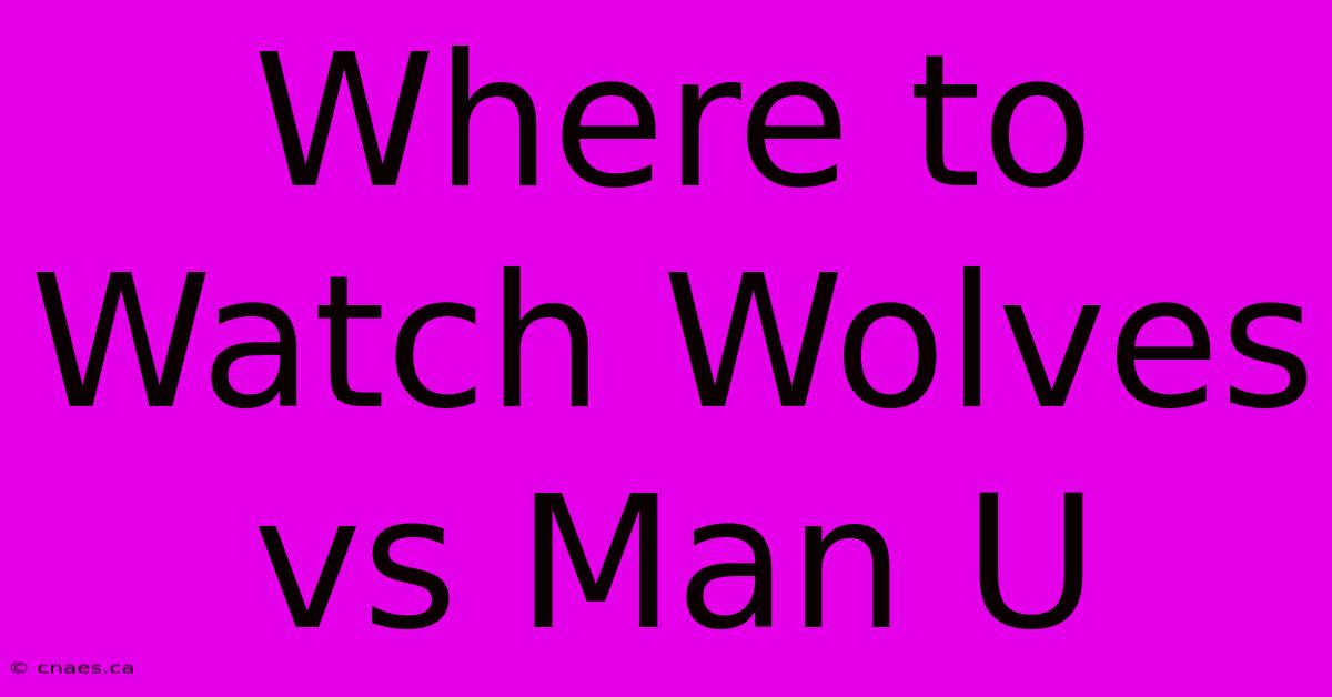 Where To Watch Wolves Vs Man U