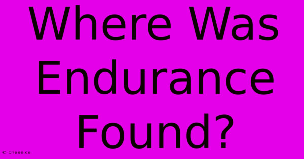 Where Was Endurance Found?