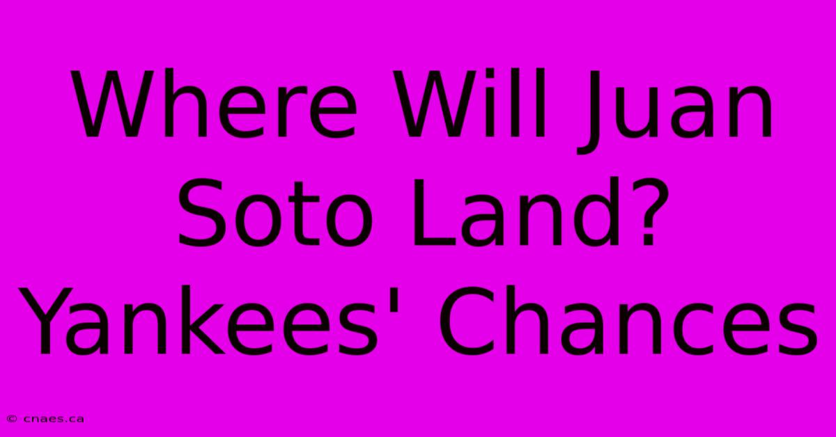 Where Will Juan Soto Land? Yankees' Chances