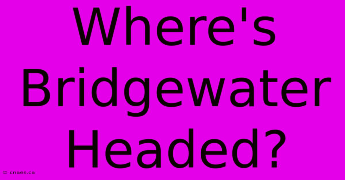 Where's Bridgewater Headed?