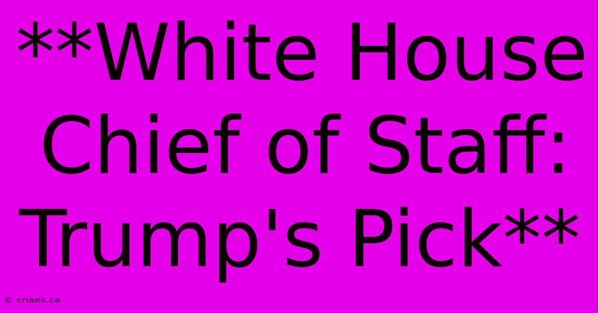 **White House Chief Of Staff: Trump's Pick**