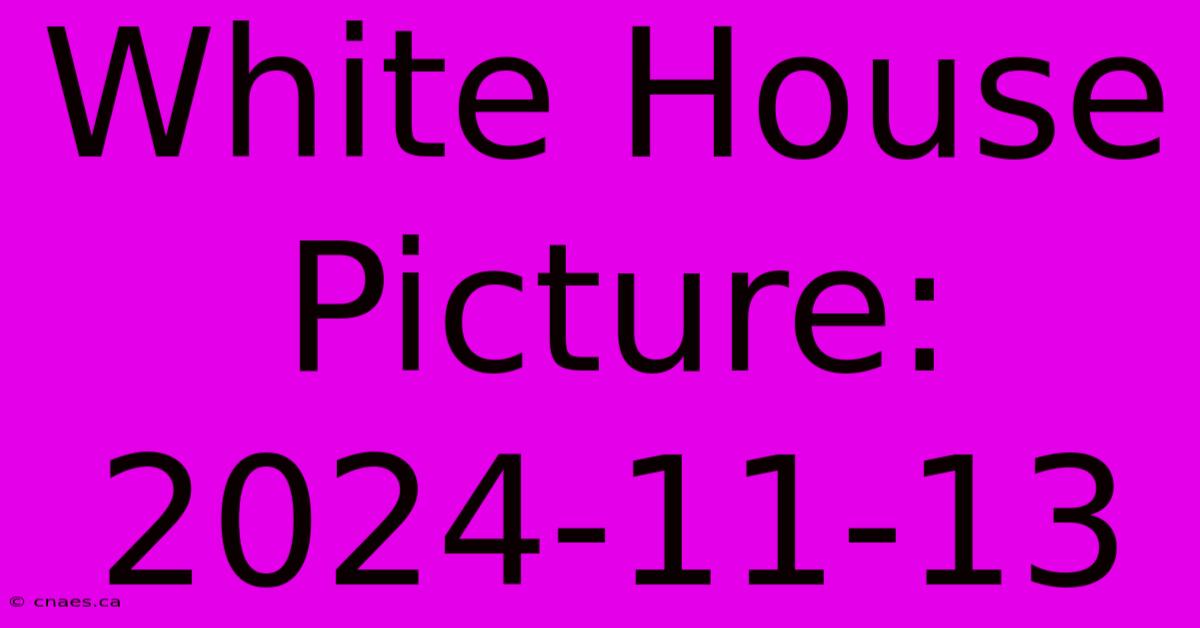 White House Picture: 2024-11-13