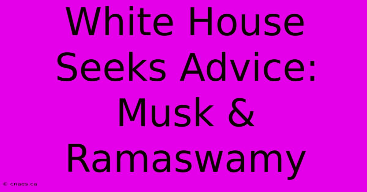 White House Seeks Advice: Musk & Ramaswamy