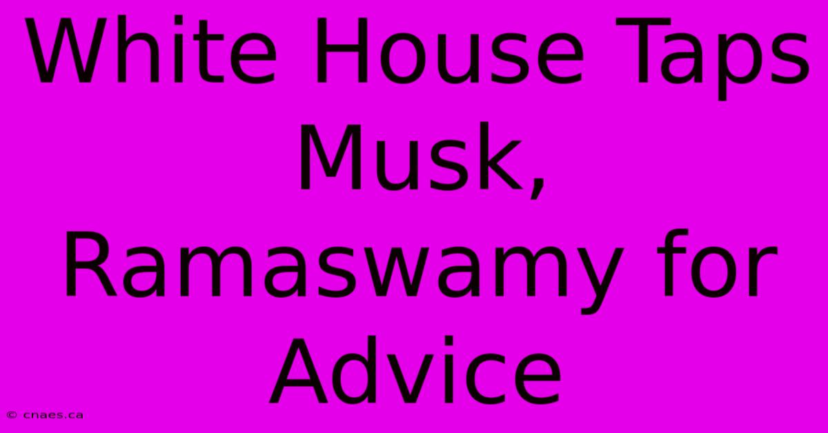 White House Taps Musk, Ramaswamy For Advice