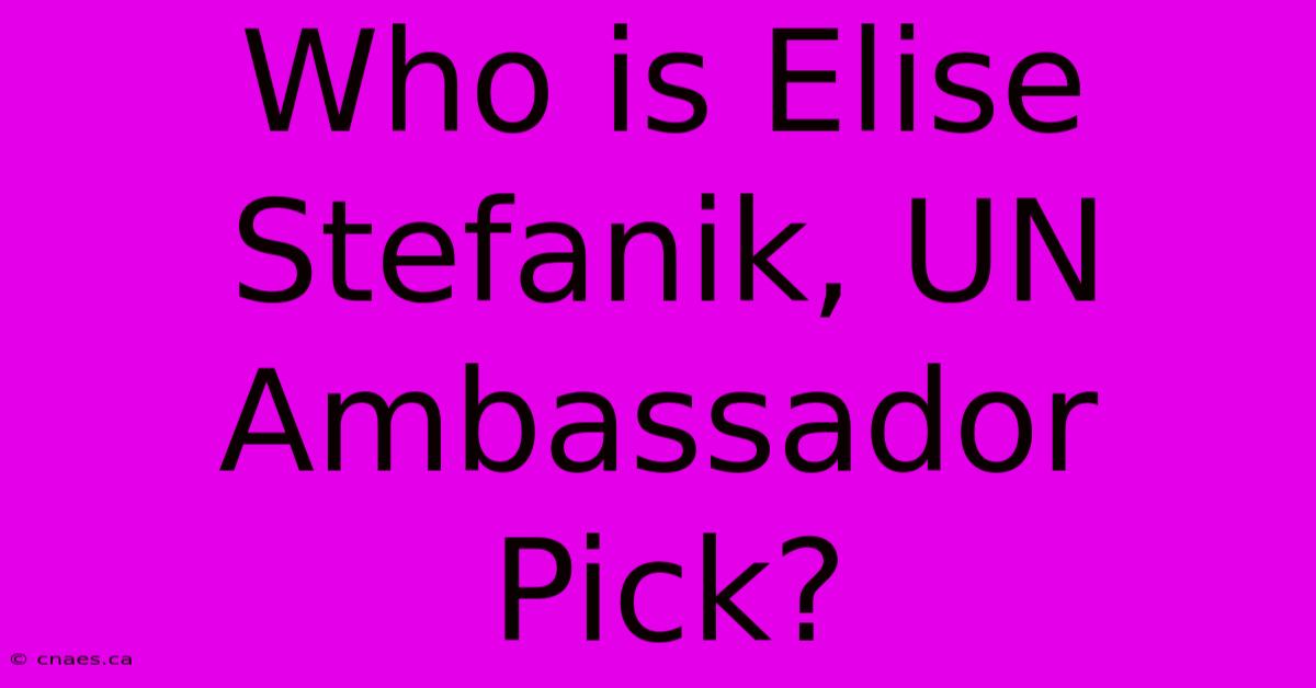 Who Is Elise Stefanik, UN Ambassador Pick?