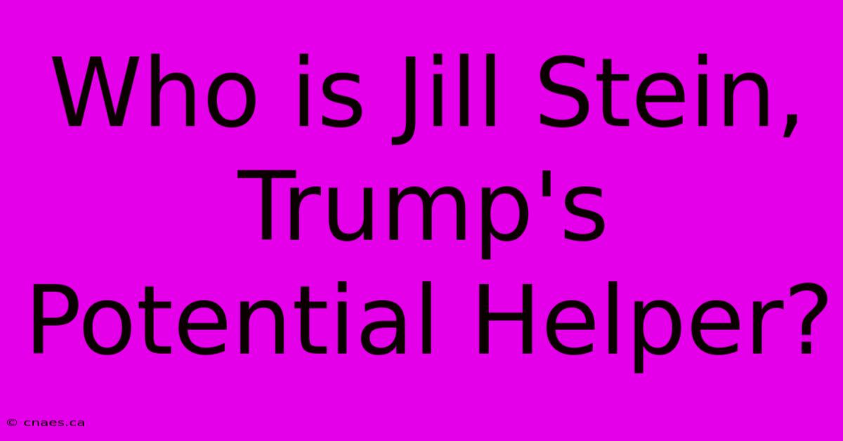 Who Is Jill Stein, Trump's Potential Helper?