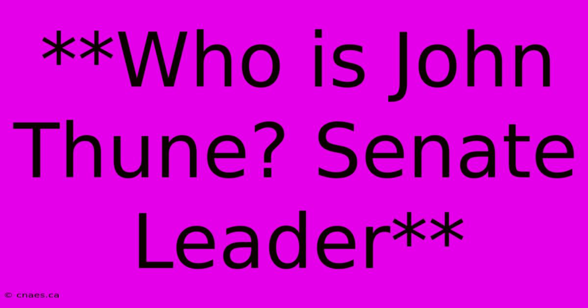 **Who Is John Thune? Senate Leader**