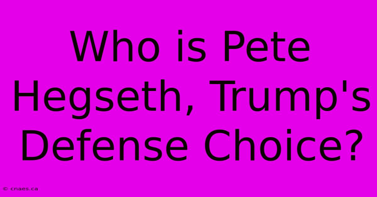 Who Is Pete Hegseth, Trump's Defense Choice?