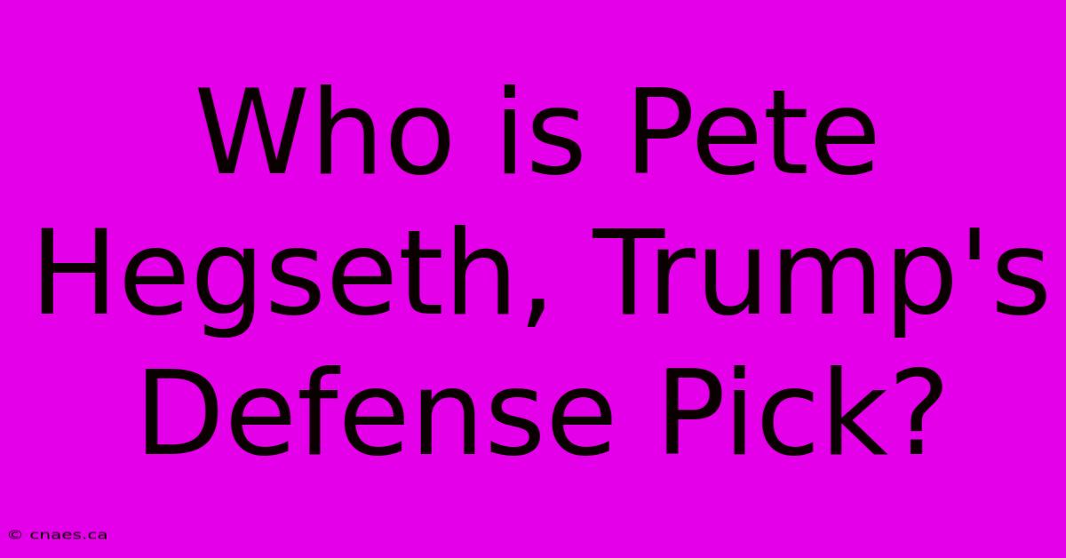 Who Is Pete Hegseth, Trump's Defense Pick?