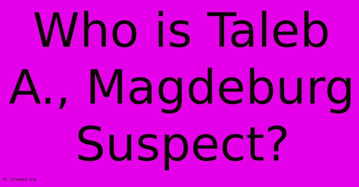 Who Is Taleb A., Magdeburg Suspect?