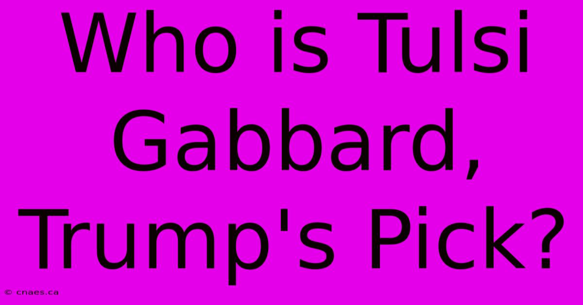 Who Is Tulsi Gabbard, Trump's Pick?