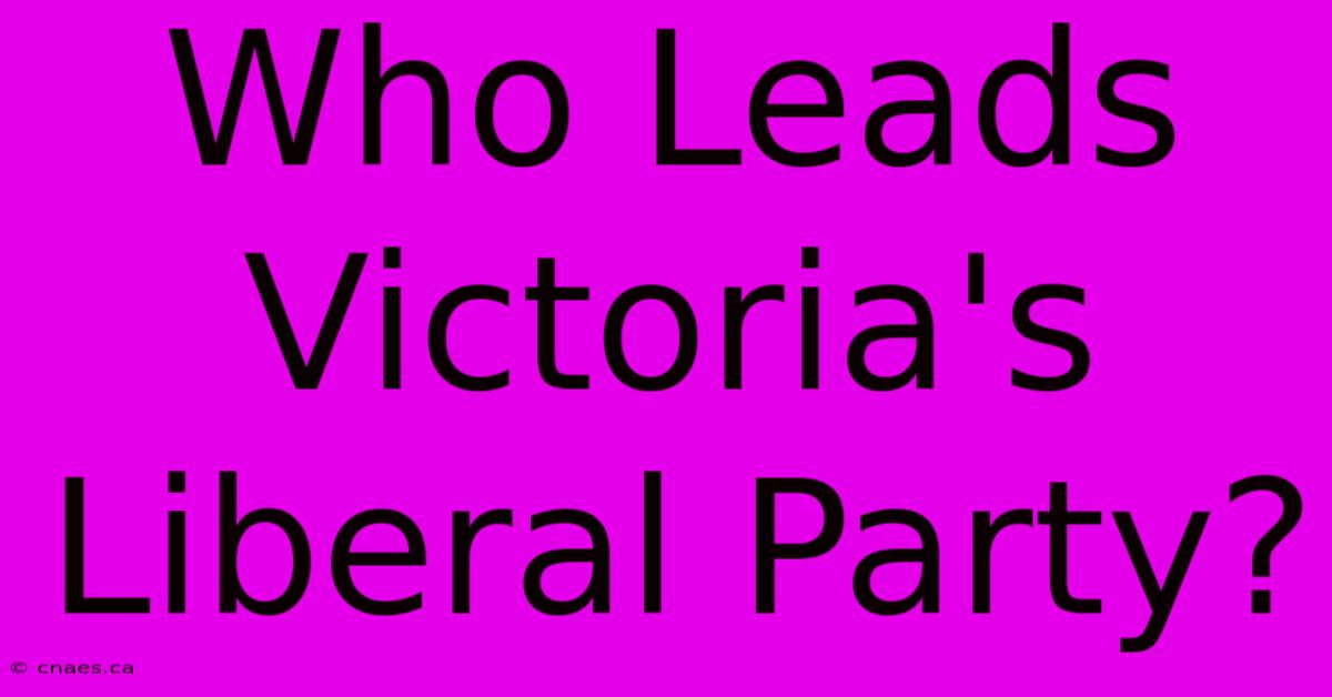 Who Leads Victoria's Liberal Party?