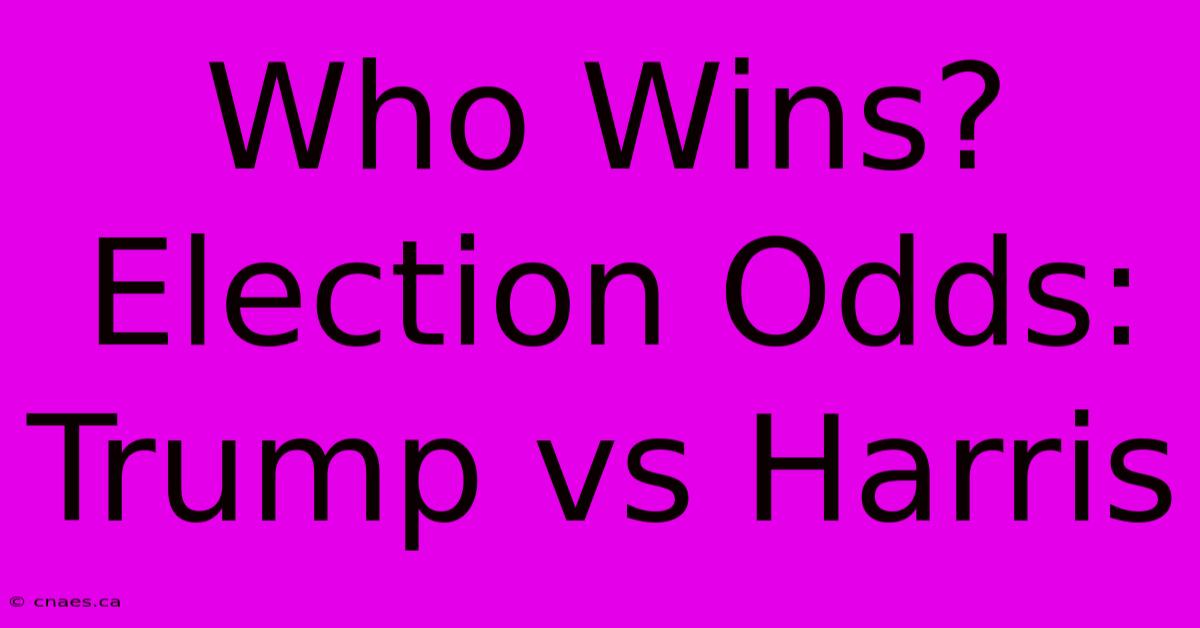 Who Wins? Election Odds: Trump Vs Harris