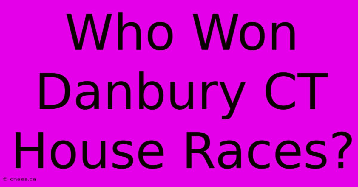 Who Won Danbury CT House Races? 