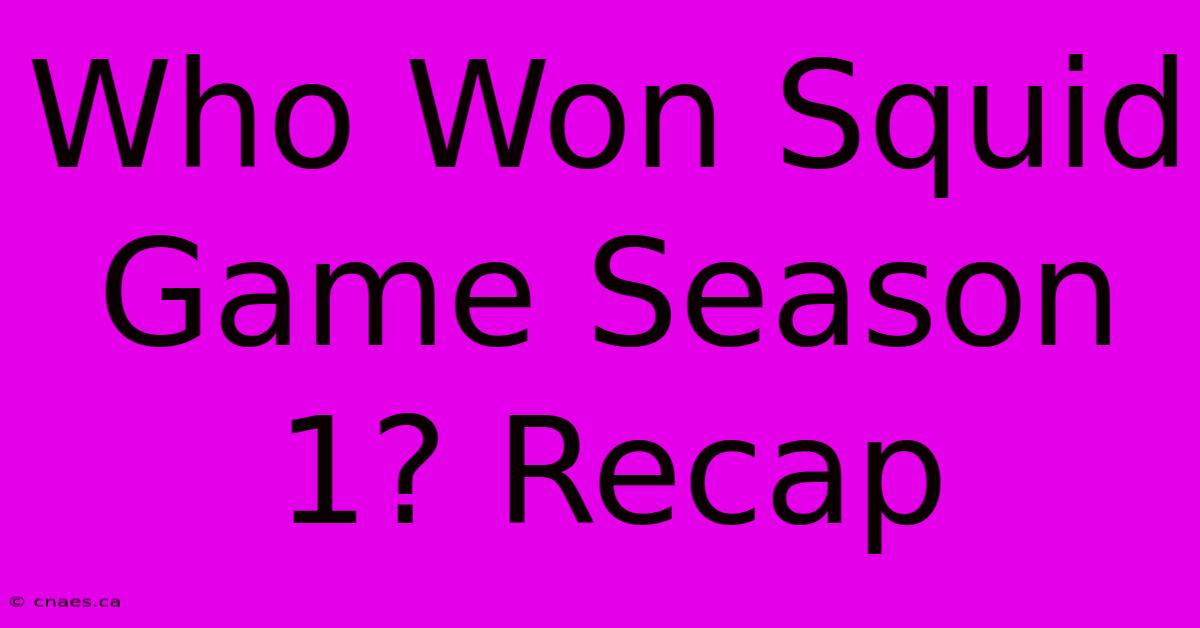 Who Won Squid Game Season 1? Recap