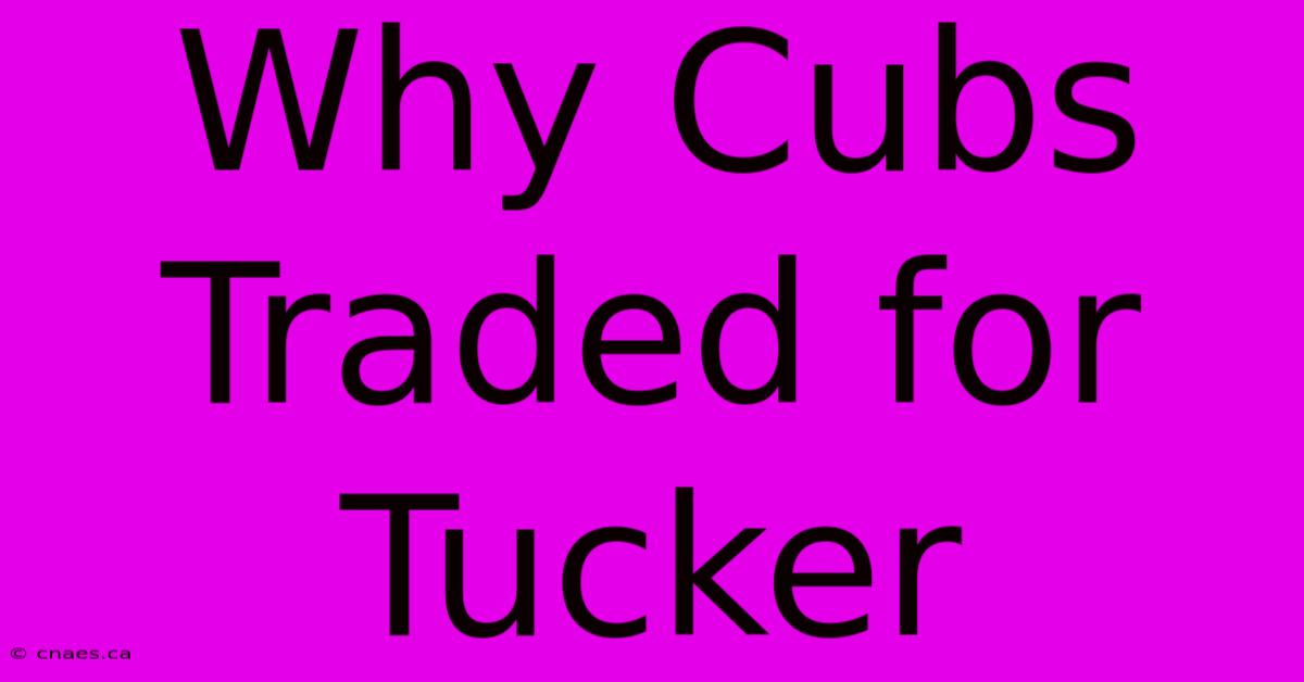 Why Cubs Traded For Tucker