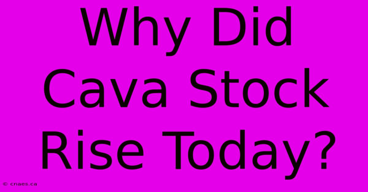 Why Did Cava Stock Rise Today?