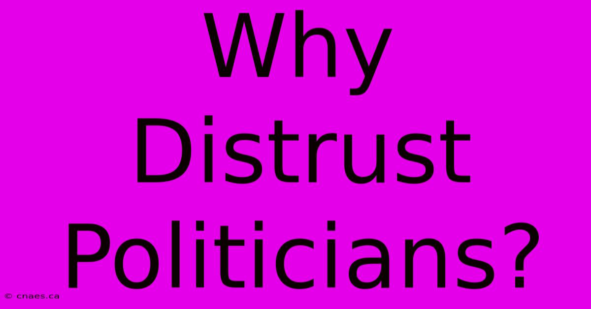 Why Distrust Politicians?