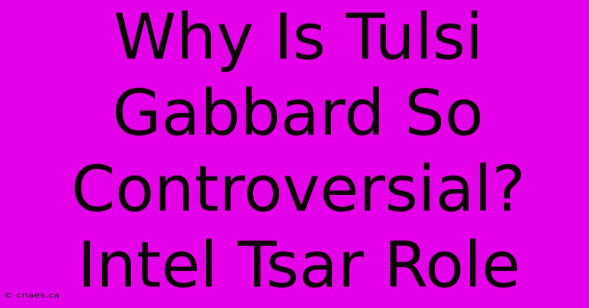 Why Is Tulsi Gabbard So Controversial? Intel Tsar Role