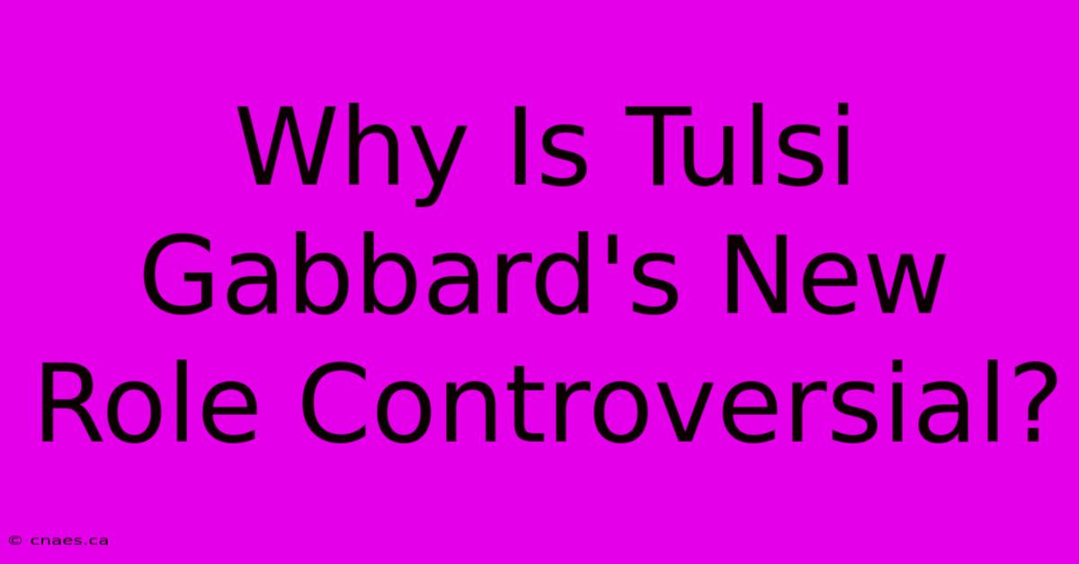 Why Is Tulsi Gabbard's New Role Controversial?