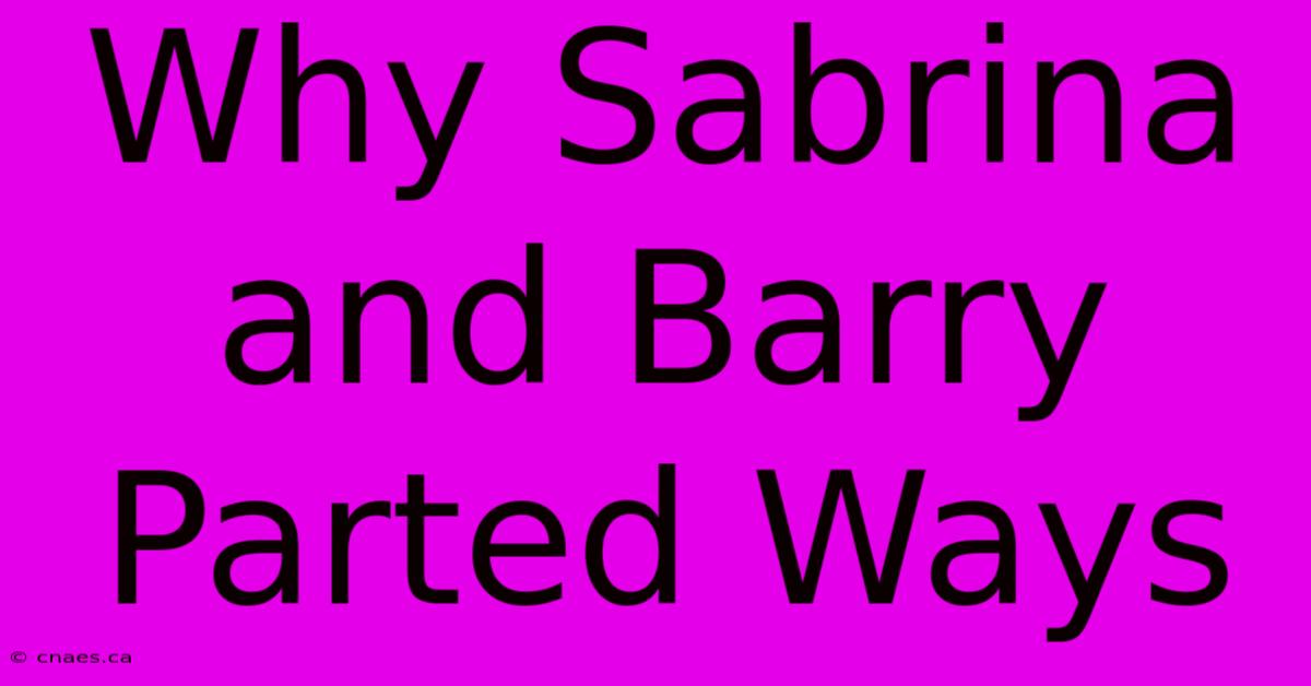 Why Sabrina And Barry Parted Ways